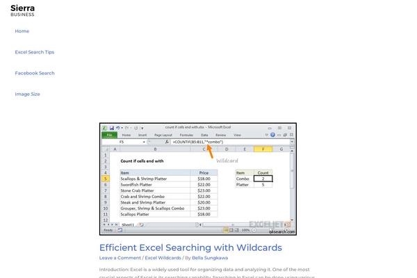 Site using Astra-addon plugin