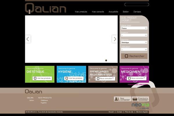 Site using Faceted Search plugin