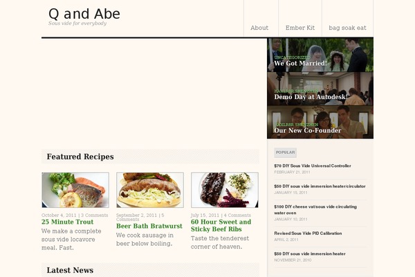 Delicious Magazine theme site design template sample