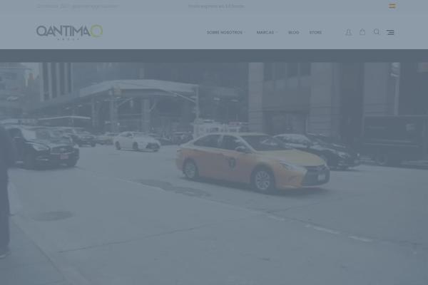 qantimagroup.com site used Wizestore-child
