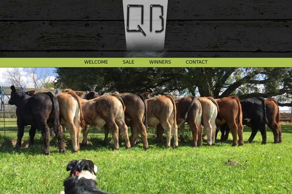 X Child theme site design template sample