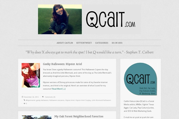 qcait.com site used Socialike