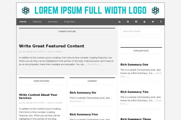 News Pro theme site design template sample