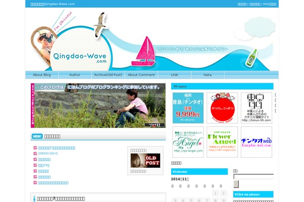 Site using Contus-hd-flv-player plugin