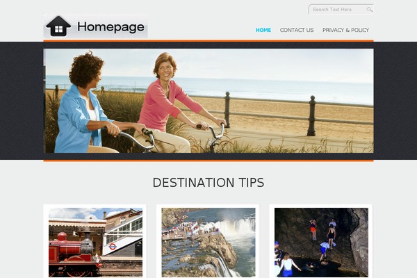 D5 Design theme site design template sample