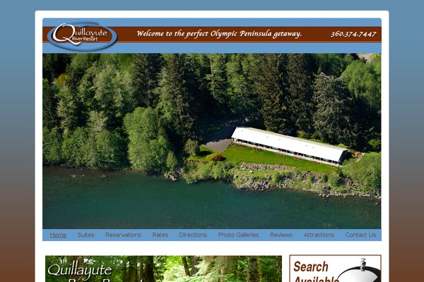 Wp Davinci theme site design template sample