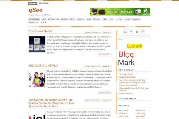 Bisade theme site design template sample