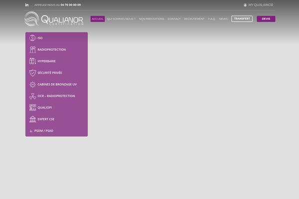 Site using Wp-megamenu-pro plugin