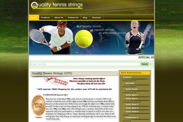Twentytenchild theme site design template sample