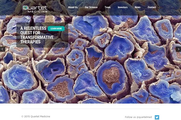Site using Divi-100-hamburger-menu plugin