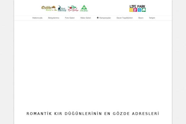 Wedding-wp theme site design template sample