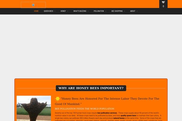 Site using Multi Image Slider Widget plugin