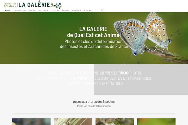 quelestcetanimal-lagalerie.com site used Boumboum