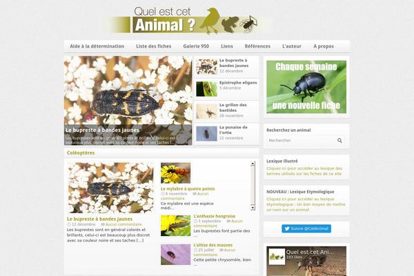 Site using Nimble-builder plugin