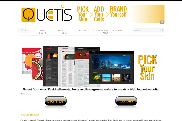 Platform theme site design template sample