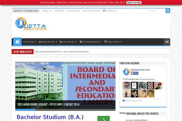 Seedlet theme site design template sample
