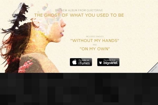 Bones theme site design template sample