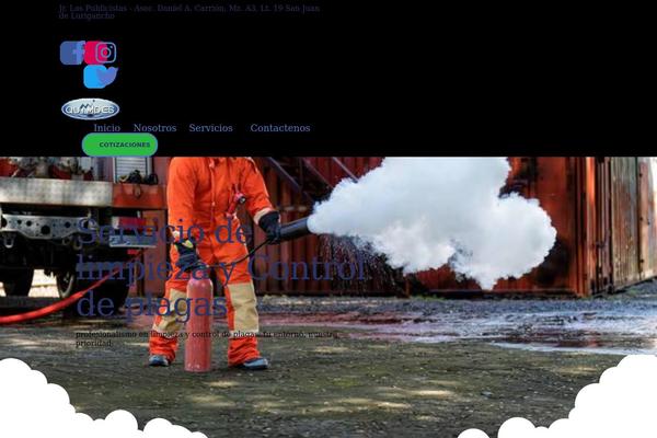 Site using Premium-addons-for-elementor plugin