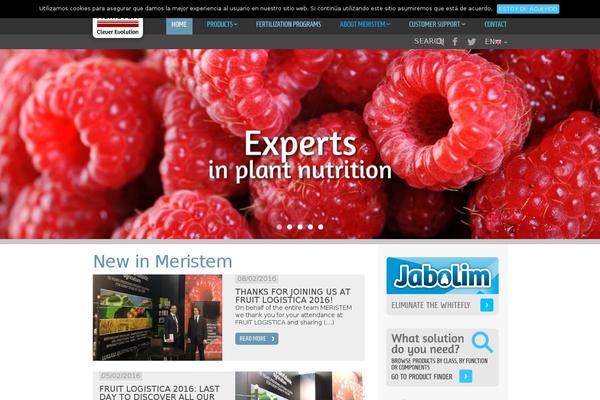Site using Minimalist Twitter Widget plugin