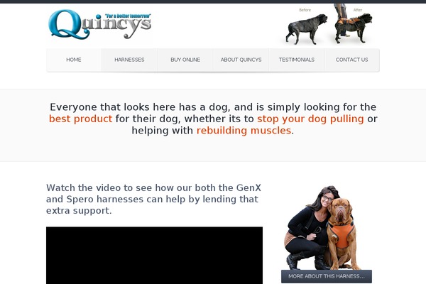 Site using Image slider with description plugin