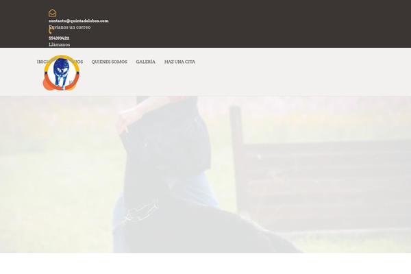 Site using Foo Gallery plugin