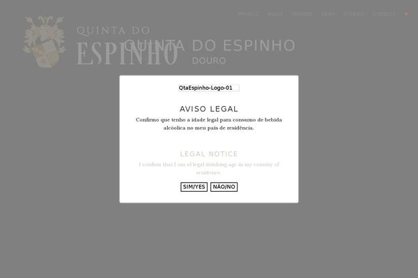 Divi Child theme site design template sample