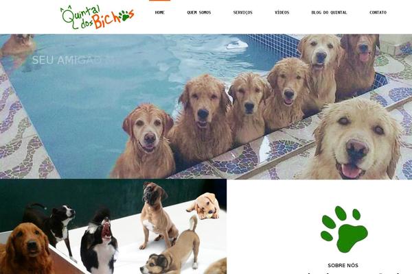 Petta theme site design template sample