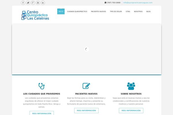 SoulMedic theme site design template sample