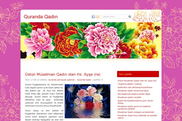 China Red theme site design template sample