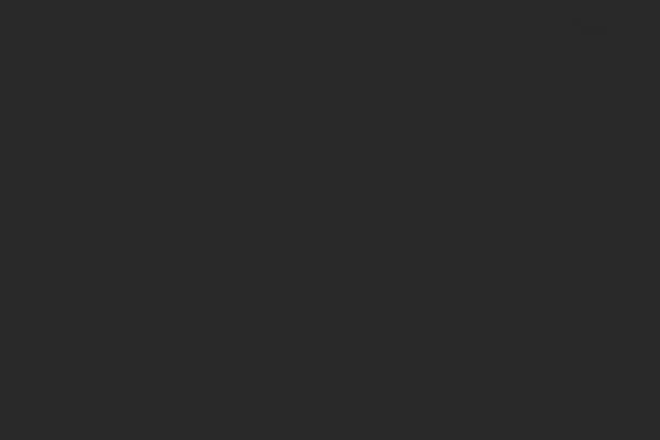 Maxbizz theme site design template sample