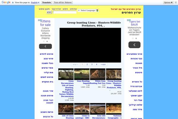 rabbi theme websites examples