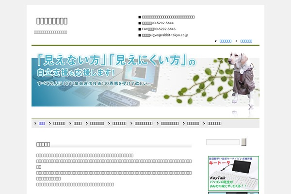 rabbit-tokyo.co.jp site used Rabbit