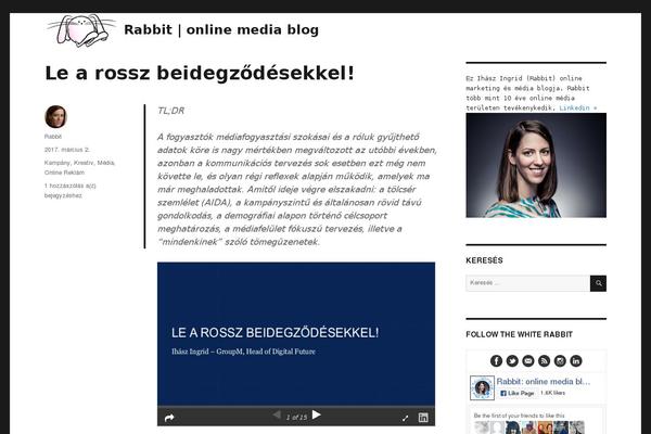 Site using Wp-lightboxJS plugin