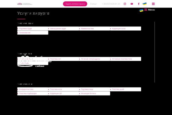 rabotenko theme websites examples