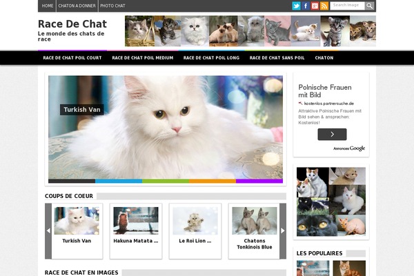 Kodok theme site design template sample