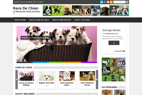 Kodok theme site design template sample