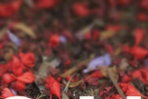 Site using Divi-100-article-card plugin