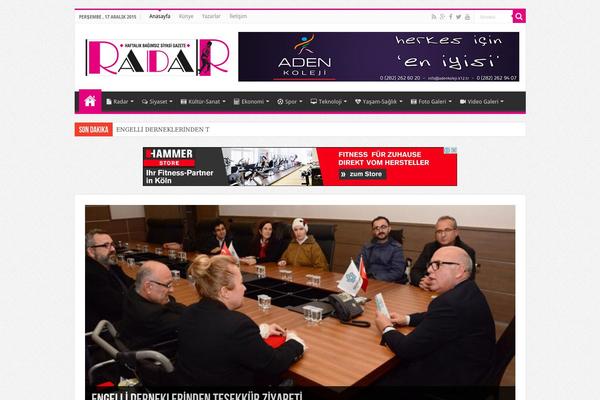 Sahifa theme site design template sample