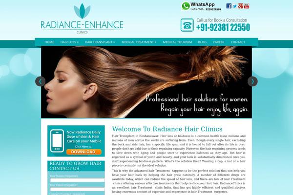 homedish theme websites examples