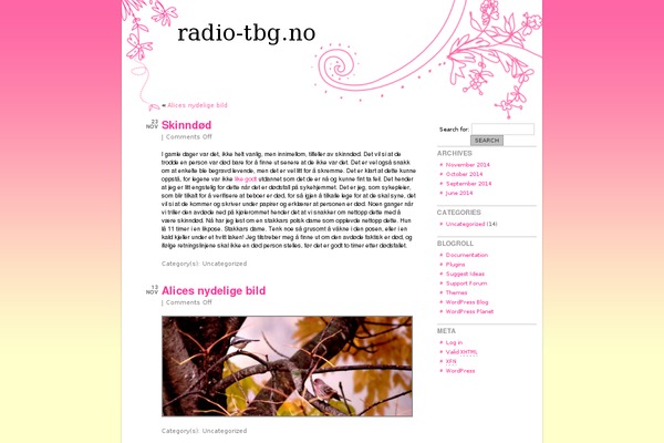 radio-tbg.no site used Sunset-theme