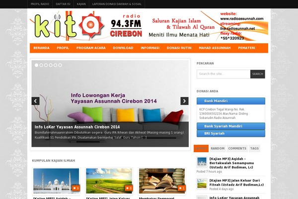 Flash theme site design template sample
