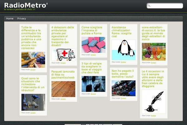 PinBlack theme site design template sample