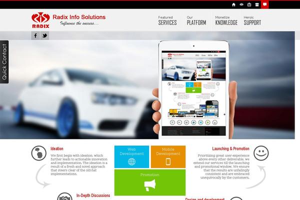 radixinfosolutions.com site used Radix