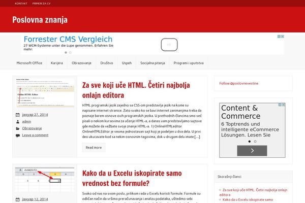 Rubine Lite theme site design template sample