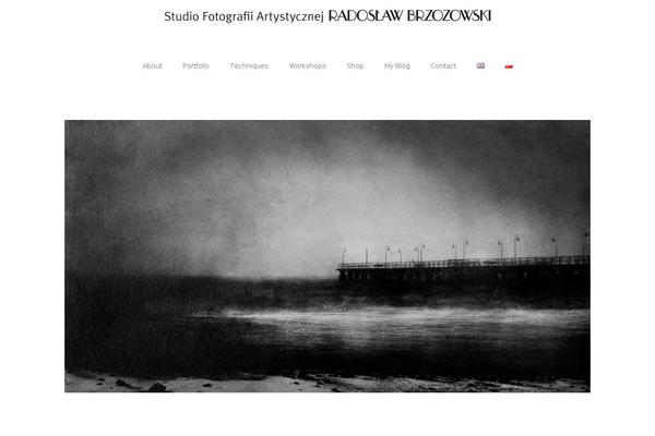 radoslawbrzozowski.com site used Portofolio