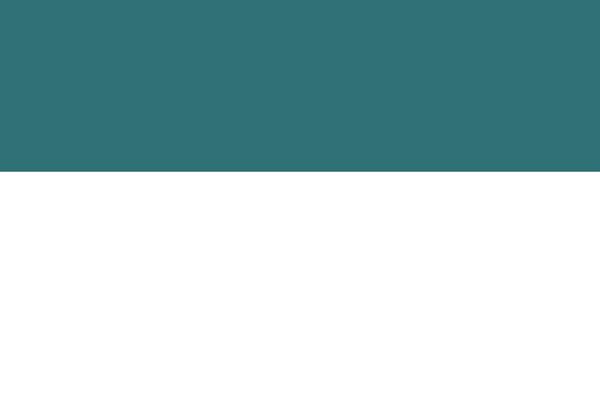 Site using Adapta-rgpd plugin