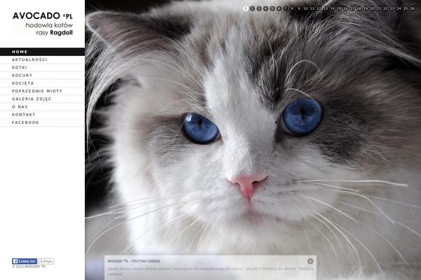 Elastico theme site design template sample