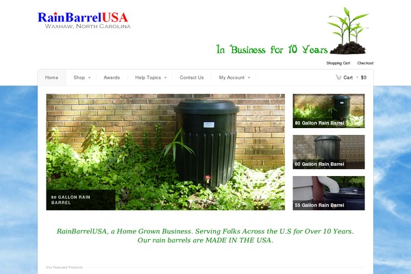 The Leader theme site design template sample