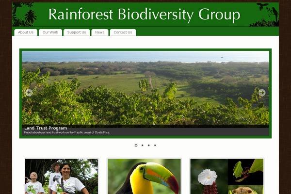 Site using FBF Facebook page Feed Widget plugin