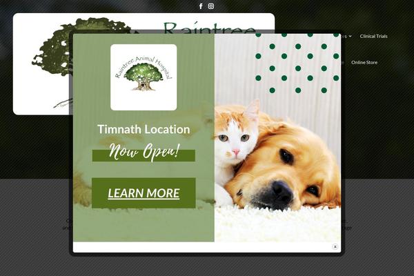 Site using Popup Builder plugin